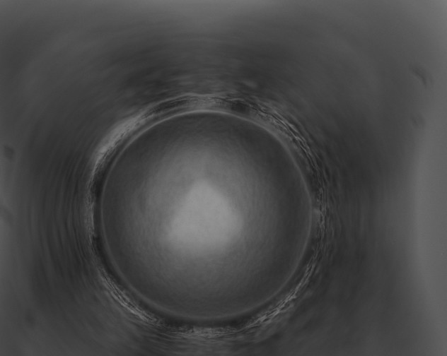 X0000090880149200708031039