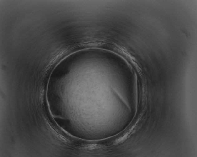 X0000090880153200708031039