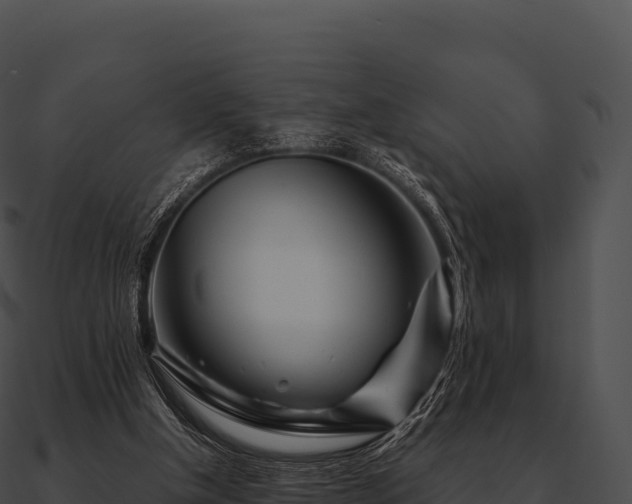 X0000090880154200708031039