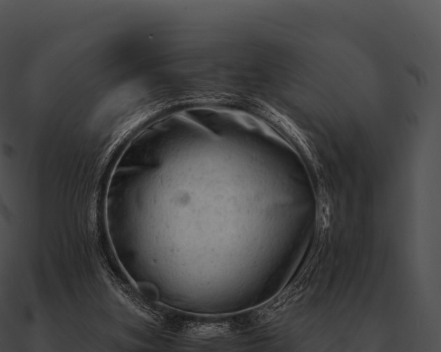 X0000090880155200708031039