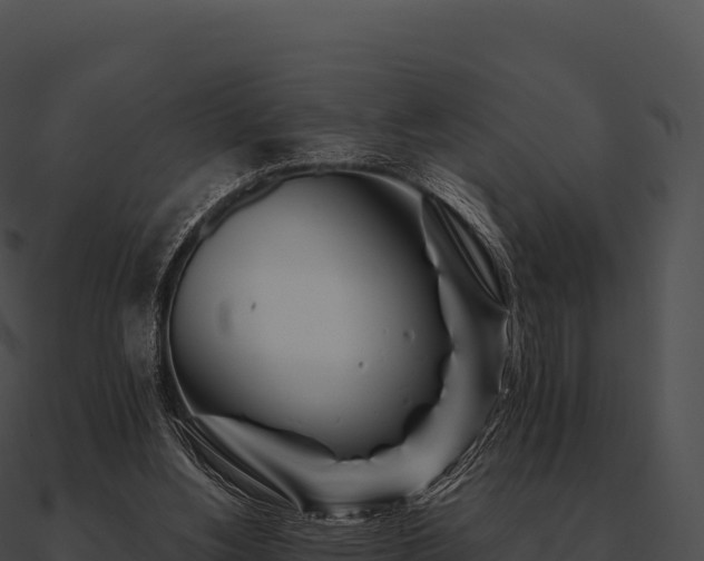 X0000090880156200708031039