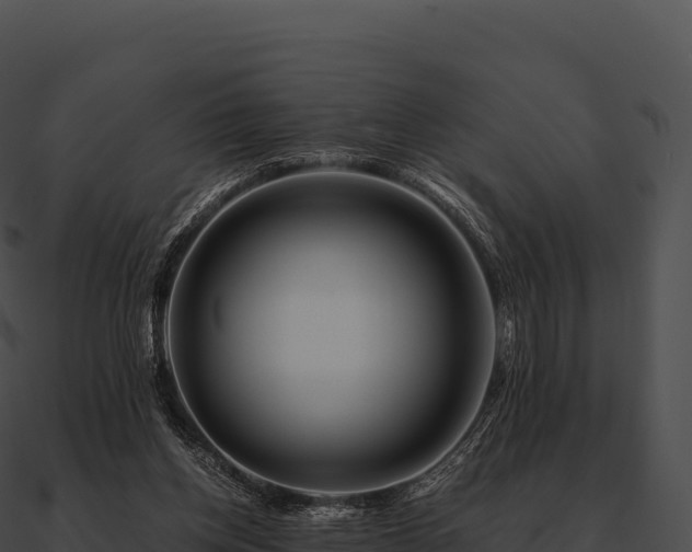 X0000090880158200708031039