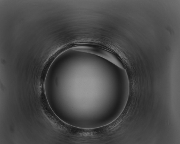 X0000090880160200708031039