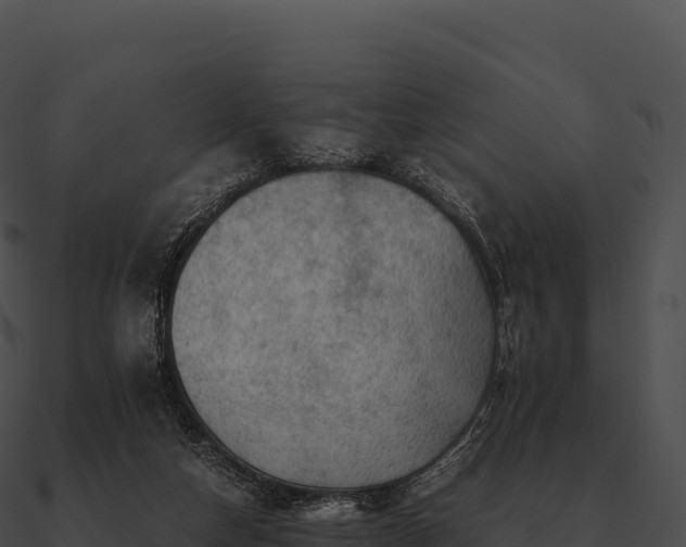 X0000090880162200708031039