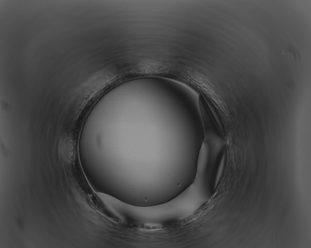 X0000090880164200708031039