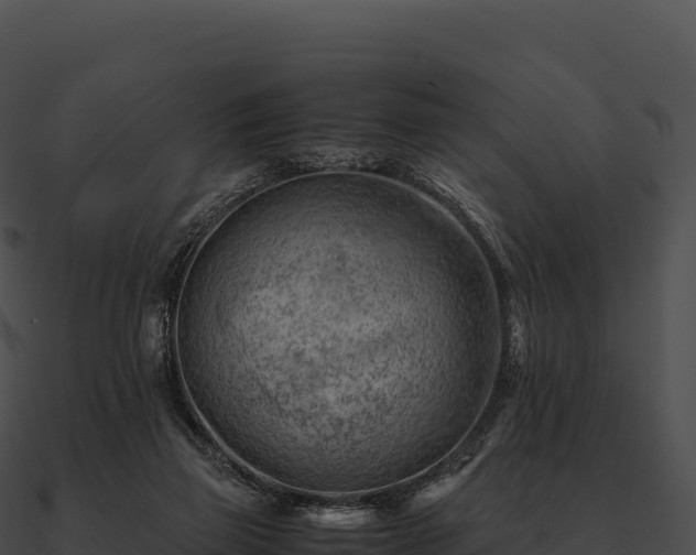 X0000090880165200708031039