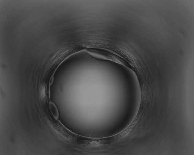 X0000090880166200708031039