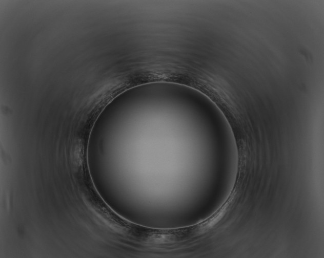 X0000090880174200708031039