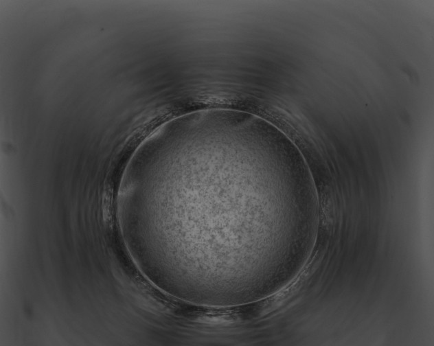 X0000090880175200708031039