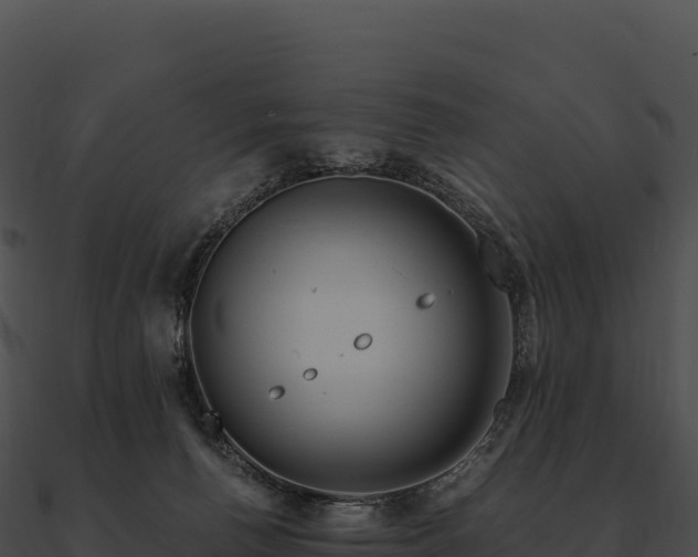 X0000090880176200708031039