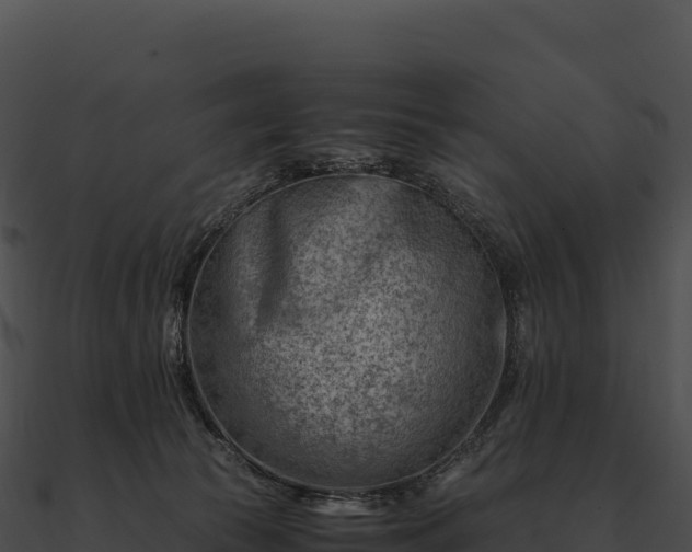X0000090880177200708031039