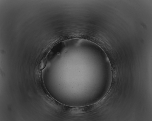 X0000090880179200708031039