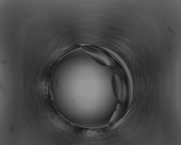 X0000090880180200708031039