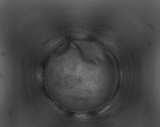 X0000090880181200708031039