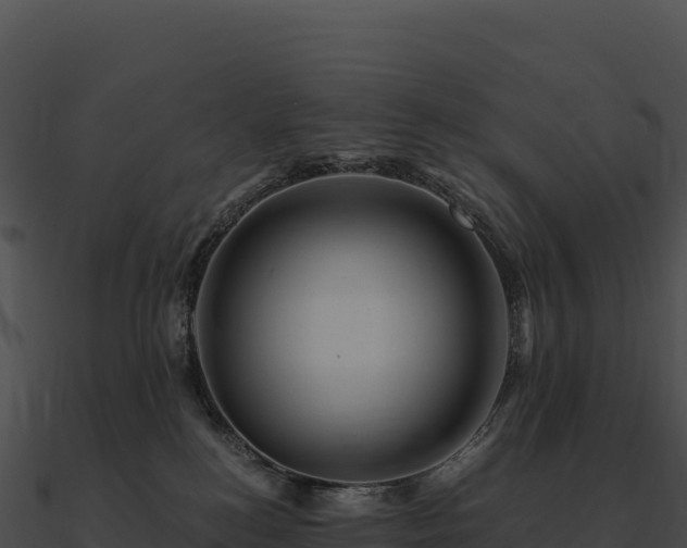 X0000090880184200708031039