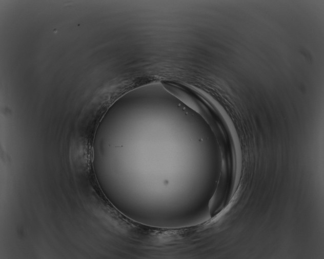 X0000090880186200708031039