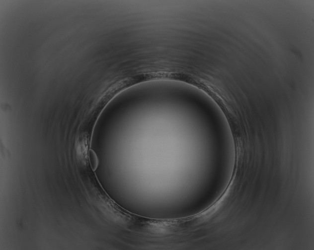 X0000090880190200708031039