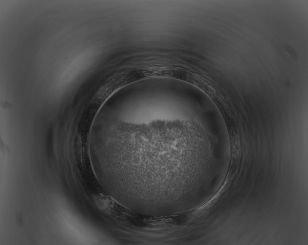 X0000090880191200708031039