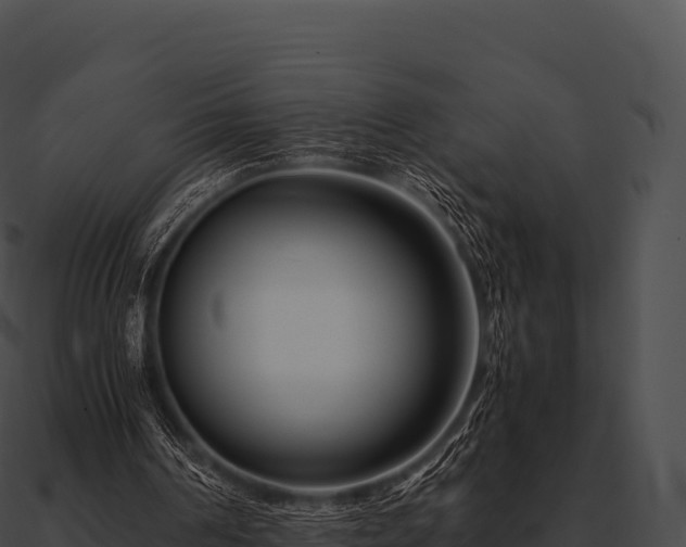 X0000090880194200708031039
