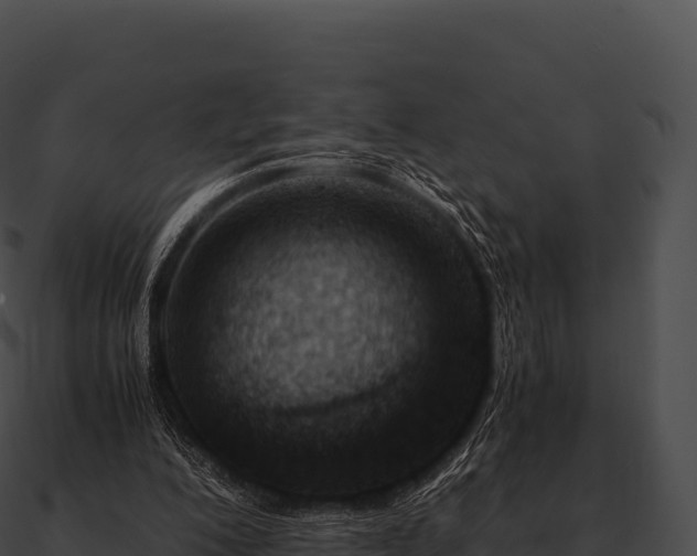 X0000090880200200708031039