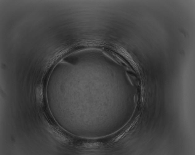 X0000090880202200708031038