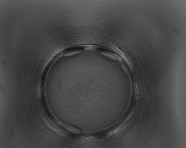 X0000090880203200708031038