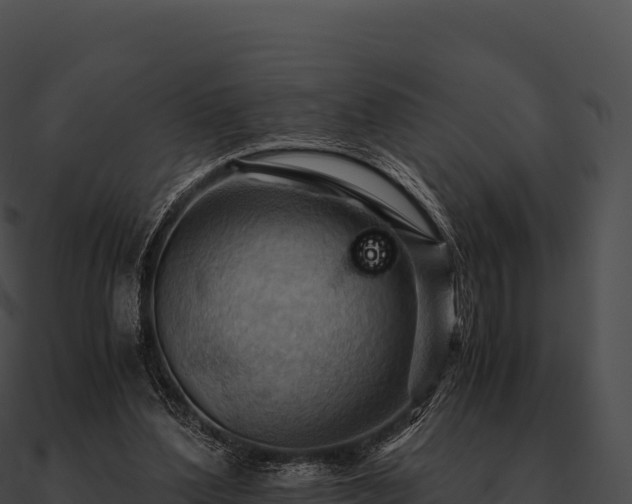 X0000090880204200708031038