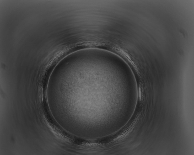 X0000090880205200708031038
