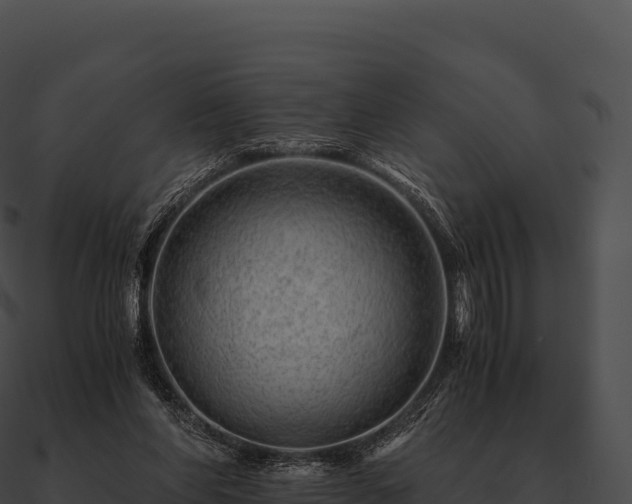 X0000090880206200708031038