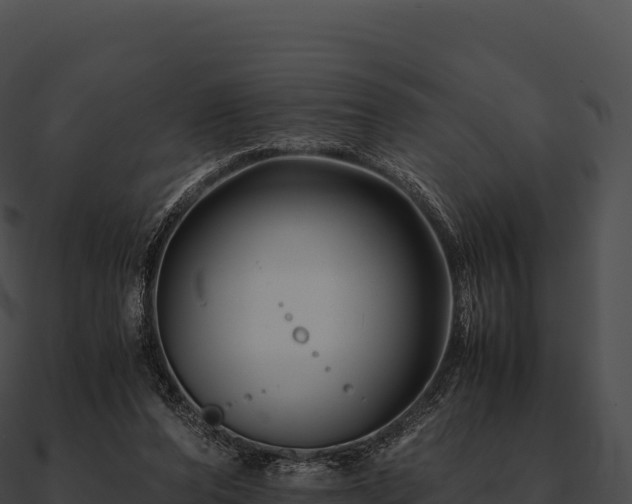 X0000090880208200708031038
