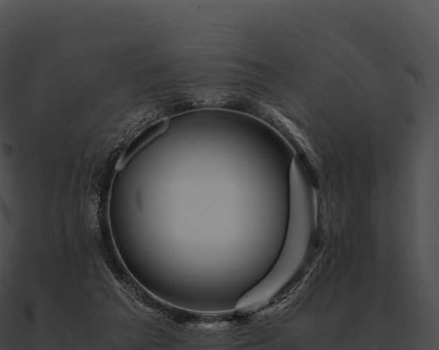 X0000090880209200708031038