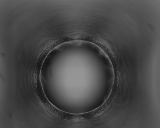 X0000090880210200708031038