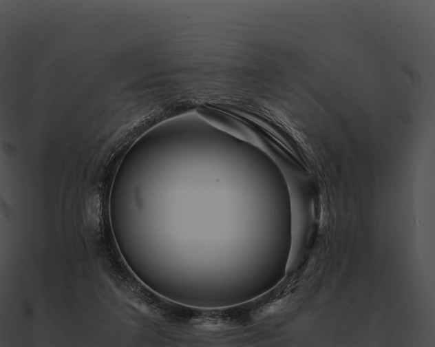 X0000090880211200708031038