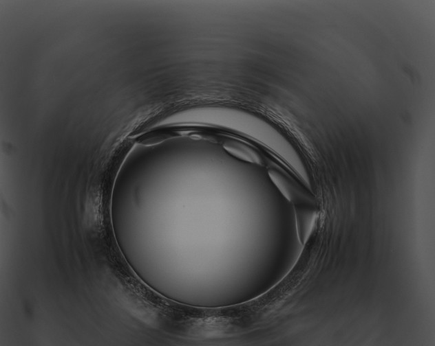 X0000090880212200708031038
