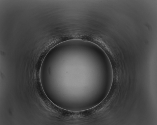X0000090880213200708031038