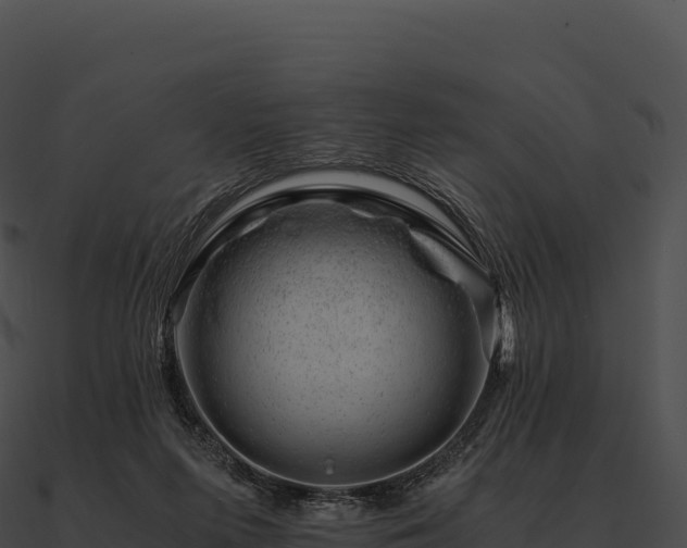 X0000090880215200708031038