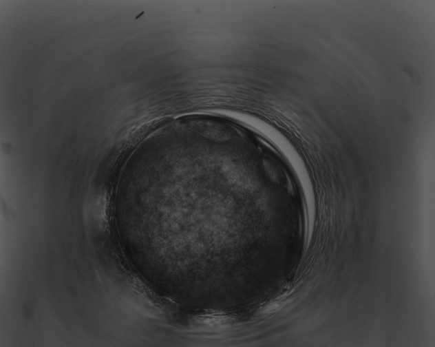 X0000090880219200708031038