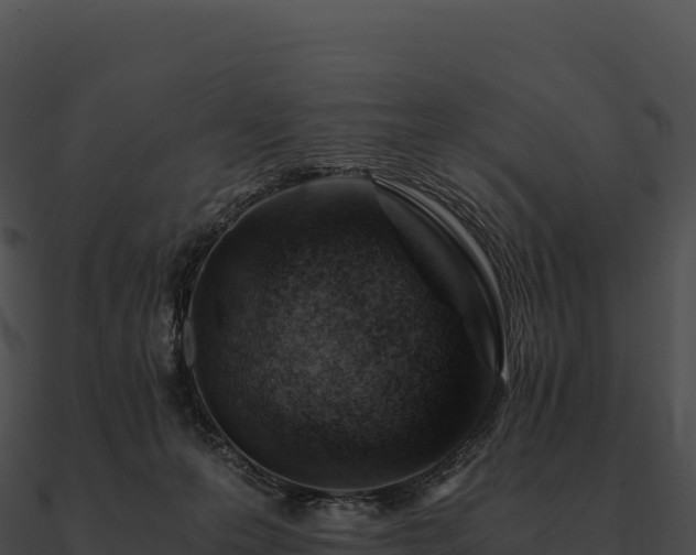 X0000090880223200708031038