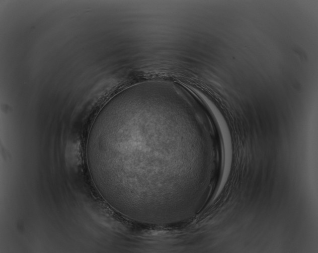 X0000090880224200708031038