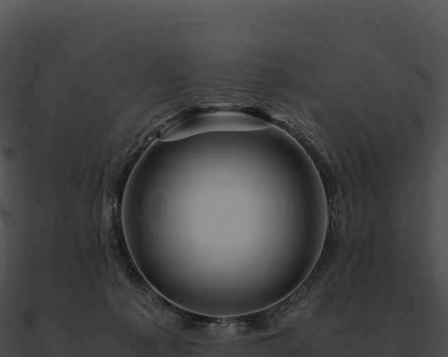 X0000090880225200708031038