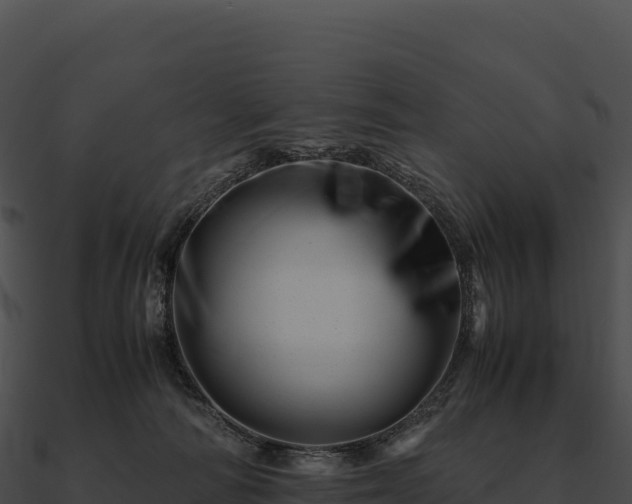 X0000090880226200708031038