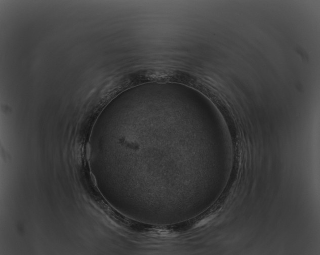 X0000090880227200708031038