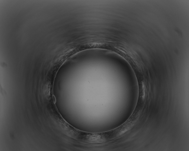 X0000090880230200708031038