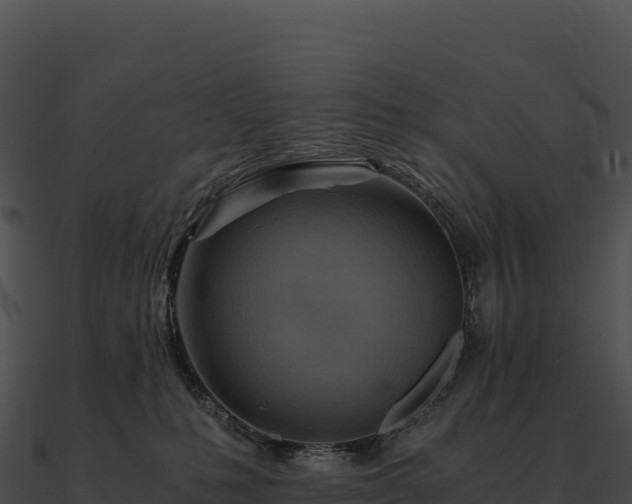 X0000090880231200708031038