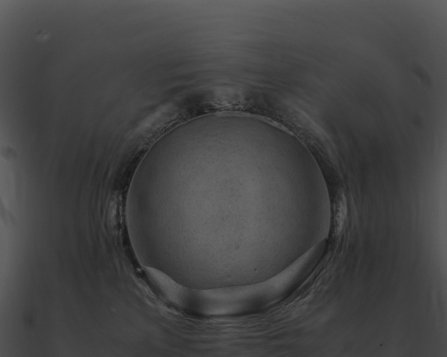 X0000090880233200708031038