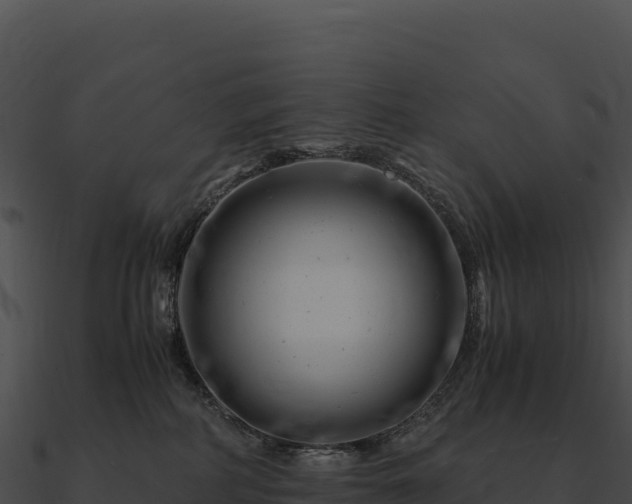 X0000090880234200708031038