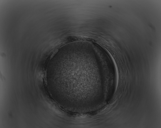 X0000090880235200708031038