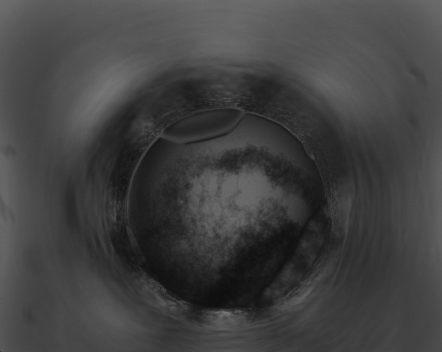 X0000090880239200708031038