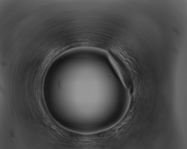X0000090880241200708031037