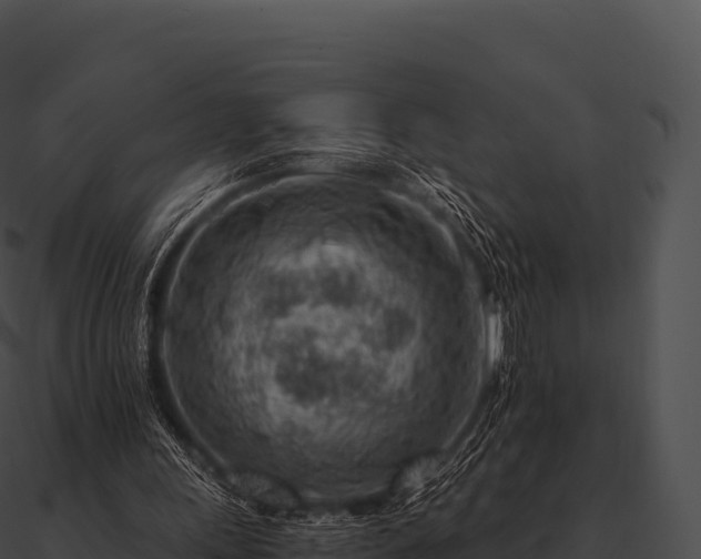 X0000090880243200708031037